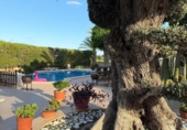 Xalet independent amb terreny en venda a la España, Elx, ref.: TR347621 foto