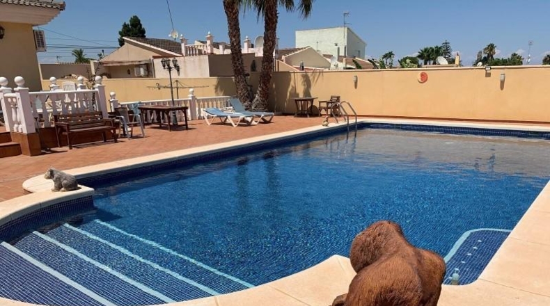 Alicante - Torrevieja - 11000m2