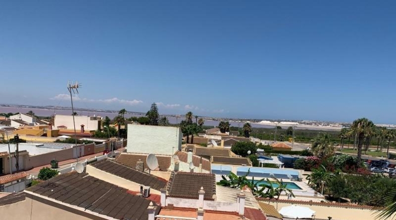 Alicante - Torrevieja - 11000m2