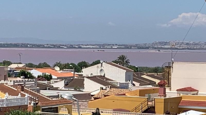 Alicante - Torrevieja - 1000m2