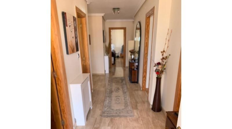 Аликанте - Torrevieja - 1000m2