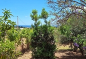 Casa de camp amb terreny en venda a la España, Estepona, ref.: TR162964 foto
