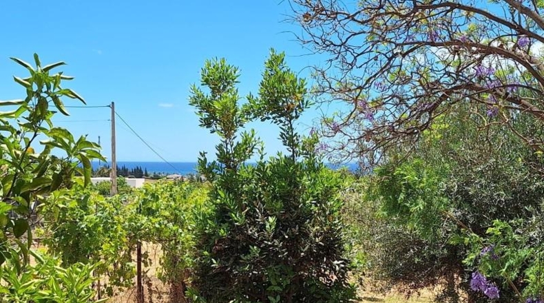 Málaga - Estepona - 2792m2