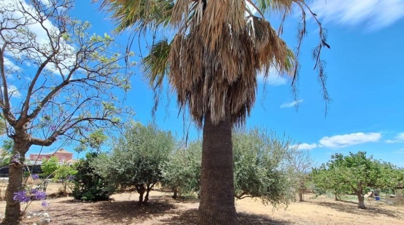 Málaga - Estepona - 2792m2