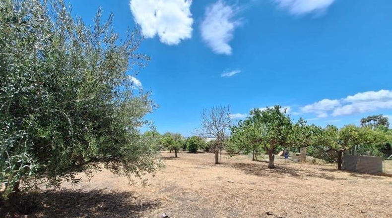 Málaga - Estepona - 2792m2