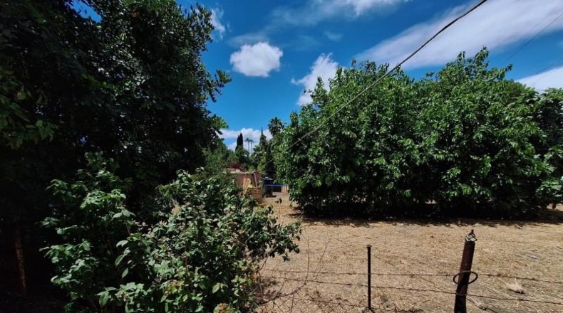 Málaga - Estepona - 2792m2