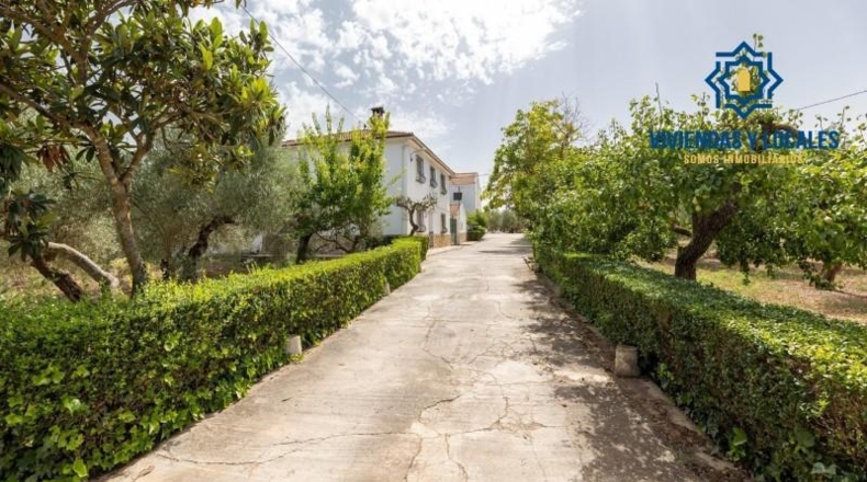 Granada - Moraleda de Zafayona - 755m2