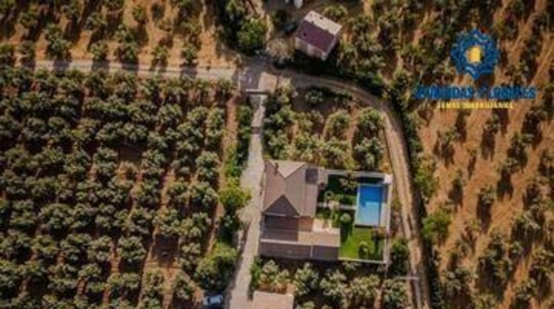 Granada - Moraleda de Zafayona - 755m2