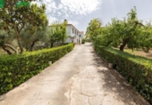 Xalet independent amb terreny en venda a la España, Moraleda de Zafayona, ref.: TR239079 foto
