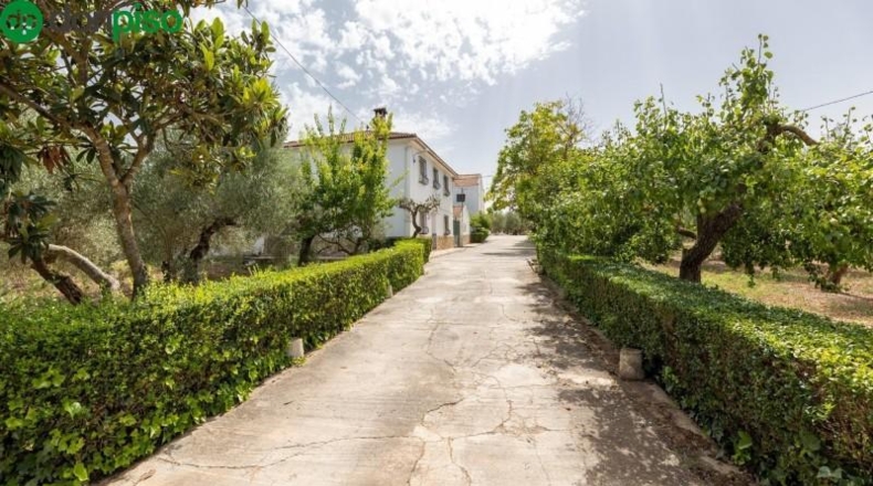 Granada - Moraleda de Zafayona - 755m2