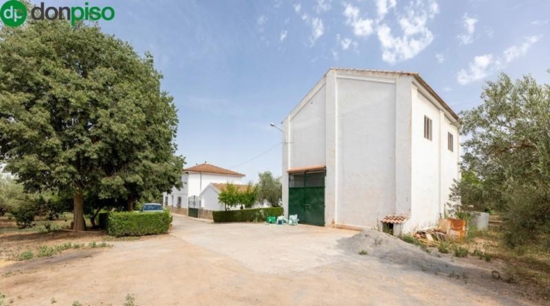 Granada - Moraleda de Zafayona - 755m2