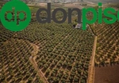 Xalet independent amb terreny en venda a la España, Moraleda de Zafayona, ref.: TR239079 foto