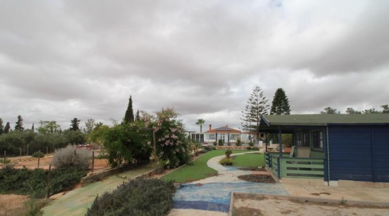 Murcia - Murcia - 5000m2