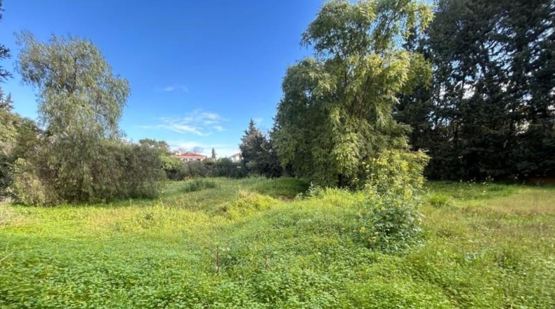 Sevilla - Mairena del Aljarafe - 2479m2