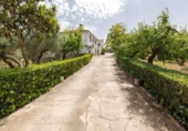 Xalet independent amb terreny en venda a la España, Moraleda de Zafayona, ref.: TR327092 foto