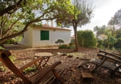 Xalet independent amb terreny en venda a la España, Matadepera, ref.: TR246531 foto