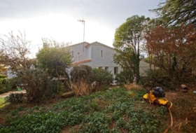 Foto 11