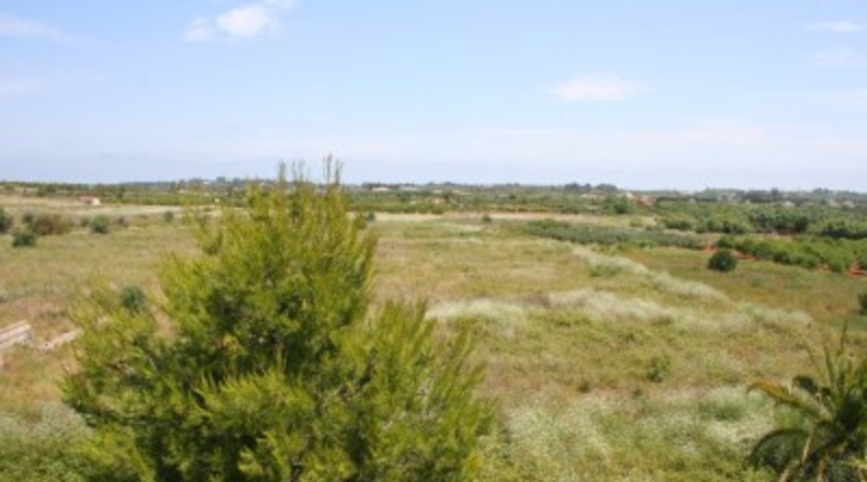 Alicante - Pedreguer - 57000m2