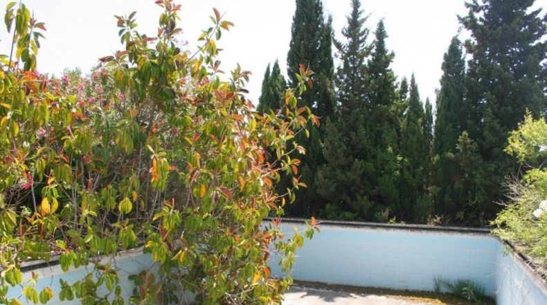 Alicante - Pedreguer - 57000m2