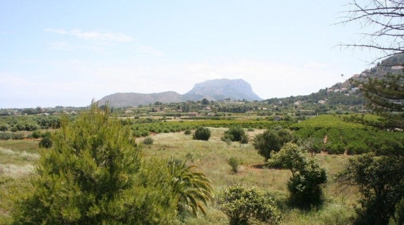 Alicante - Pedreguer - 57000m2