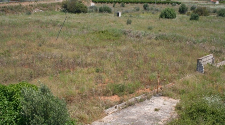 Alicante - Pedreguer - 57000m2