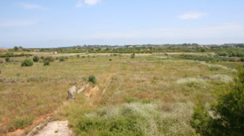 Alicante - Pedreguer - 57000m2