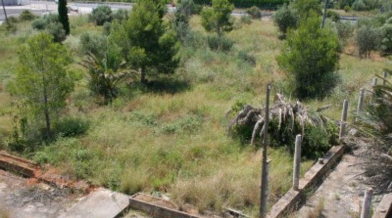 Alicante - Pedreguer - 57000m2