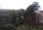 Non-developable land for sale on España, Vigo, ref: TR113552 photo