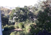 Non-developable land for sale on España, Vigo, ref: TR113552 photo