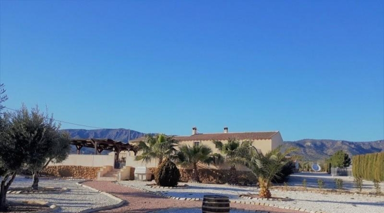 Alicante - Monóvar - 900m2