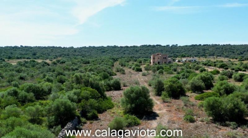 Islas Baleares - Campos - 15000m2
