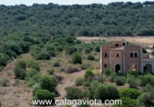 Detached villa with land for sale on España, Campos, ref: TR148287 photo