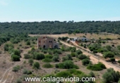 Detached villa with land for sale on España, Campos, ref: TR148287 photo