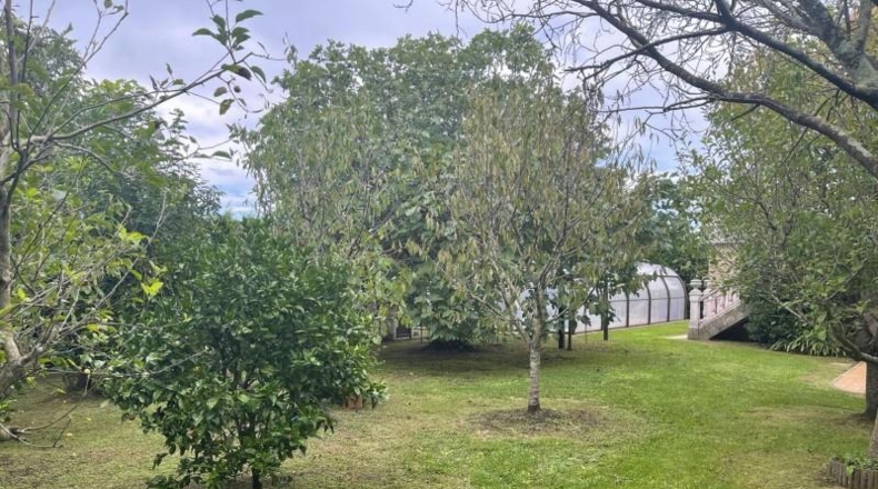 Cantàbria - Ajo - 4052m2