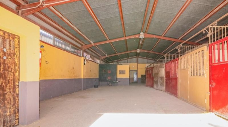 Granada - La Zubia - 12135m2