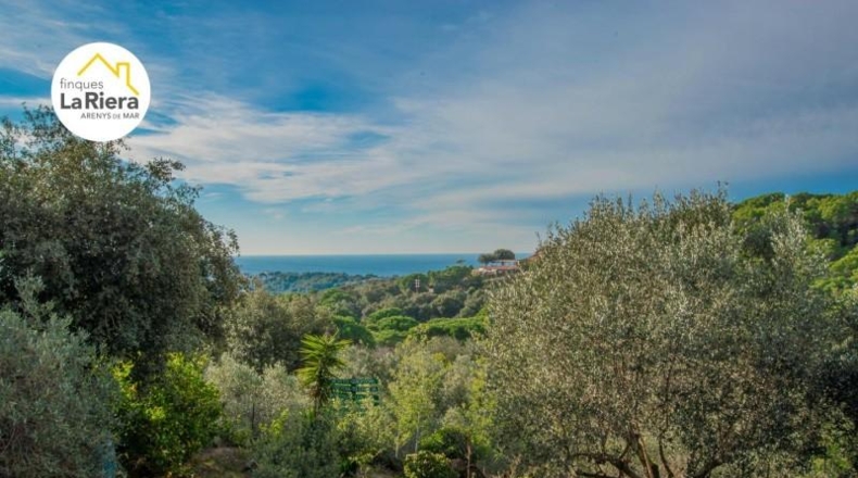 Barcelona - Arenys de Munt - 12444m2