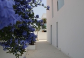Chalet independiente con terreno en venta en la España, Pilar de la Horadada, ref: TR380903 foto