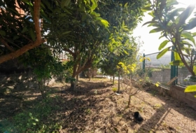 San Cristóbal de La Laguna 1100&nbsp;m² 