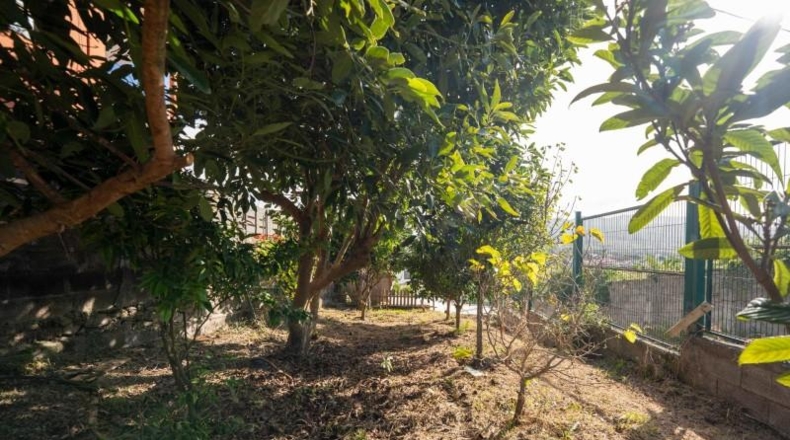 Santa Cruz de Tenerife - San Cristóbal de La Laguna - 1100m2