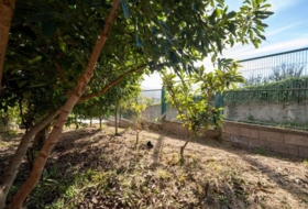 San Cristóbal de La Laguna 1100&nbsp;m² 