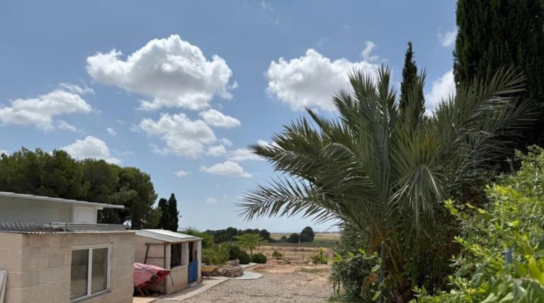 Мурсия - Torre-Pacheco - 4598m2