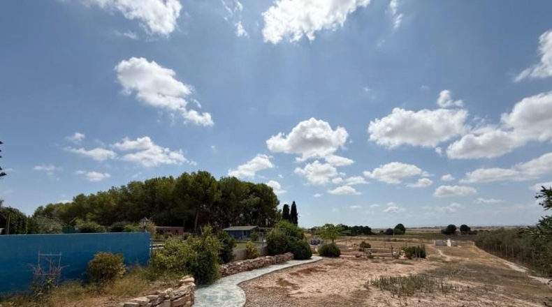 Мурсия - Torre-Pacheco - 4598m2