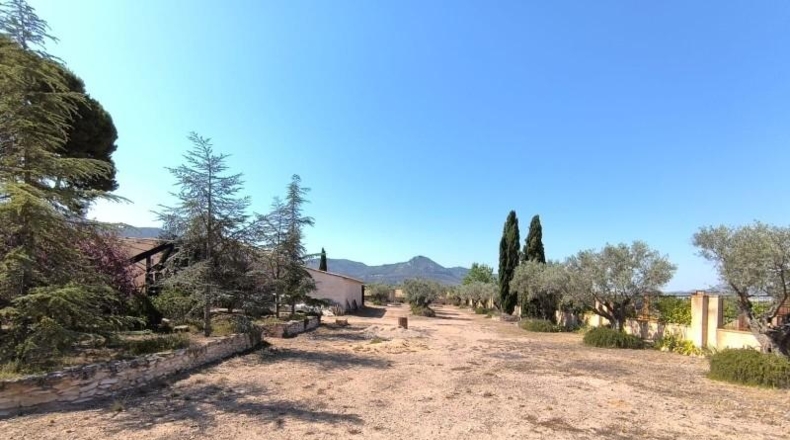 Alicante - Villena - 141300m2