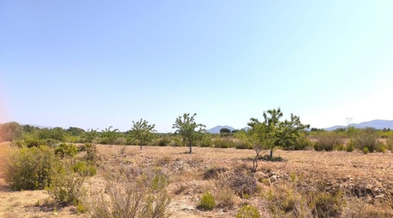 Alicante - Villena - 141300m2