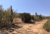 Загородный дом с участком на продажу в городе Villena Фото