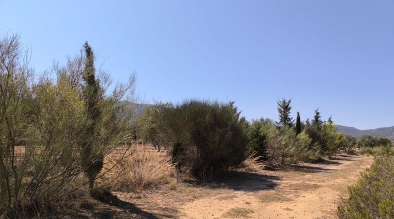 Alicante - Villena - 141300m2