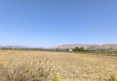 Загородный дом с участком на продажу в городе Villena Фото