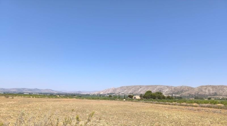 Alicante - Villena - 141300m2