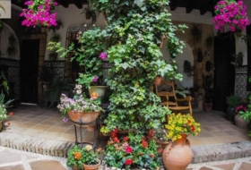 Foto 13
