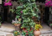 Casa de poble en venda a la España, Còrdova, ref.: TR293547 foto